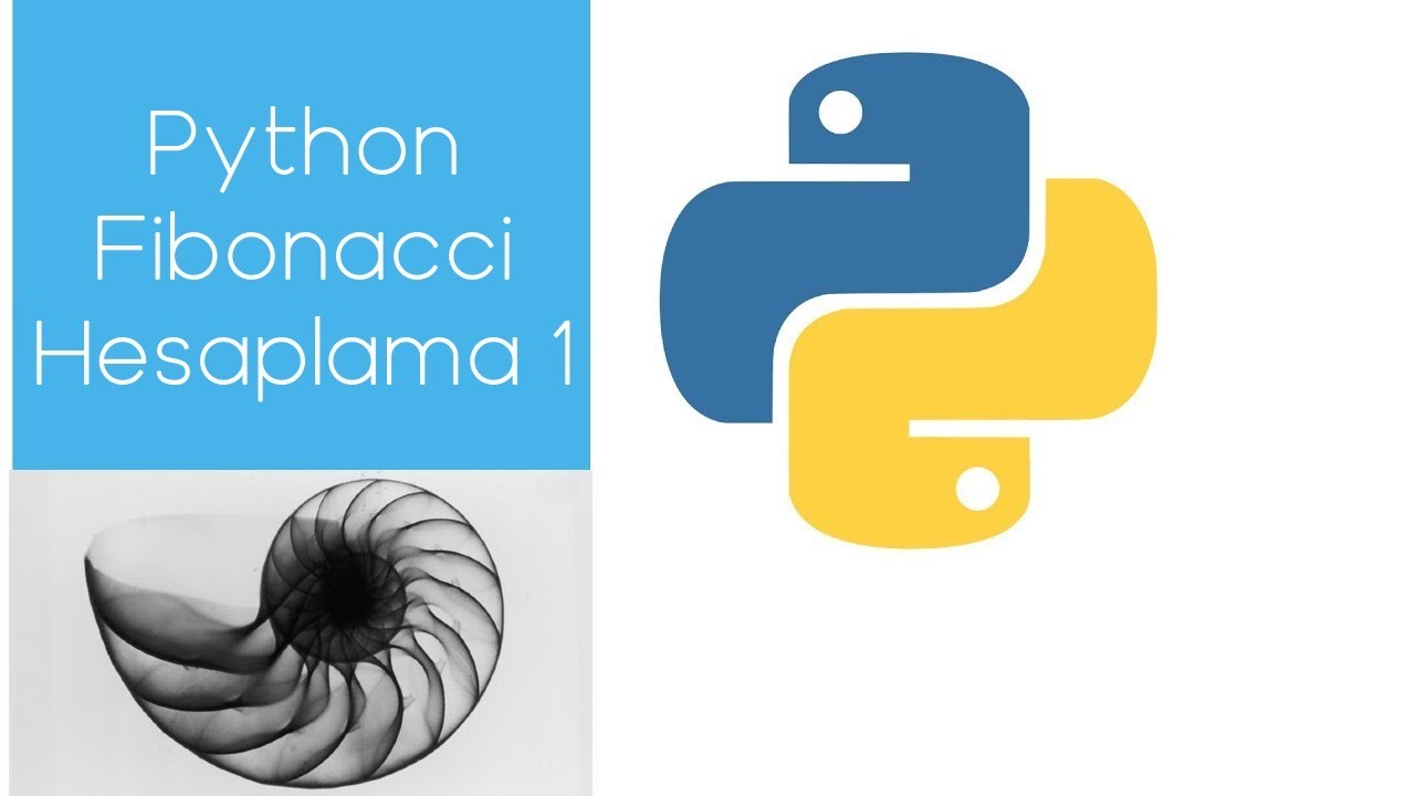 Python | Fibonacci Sayıları Örnek 1